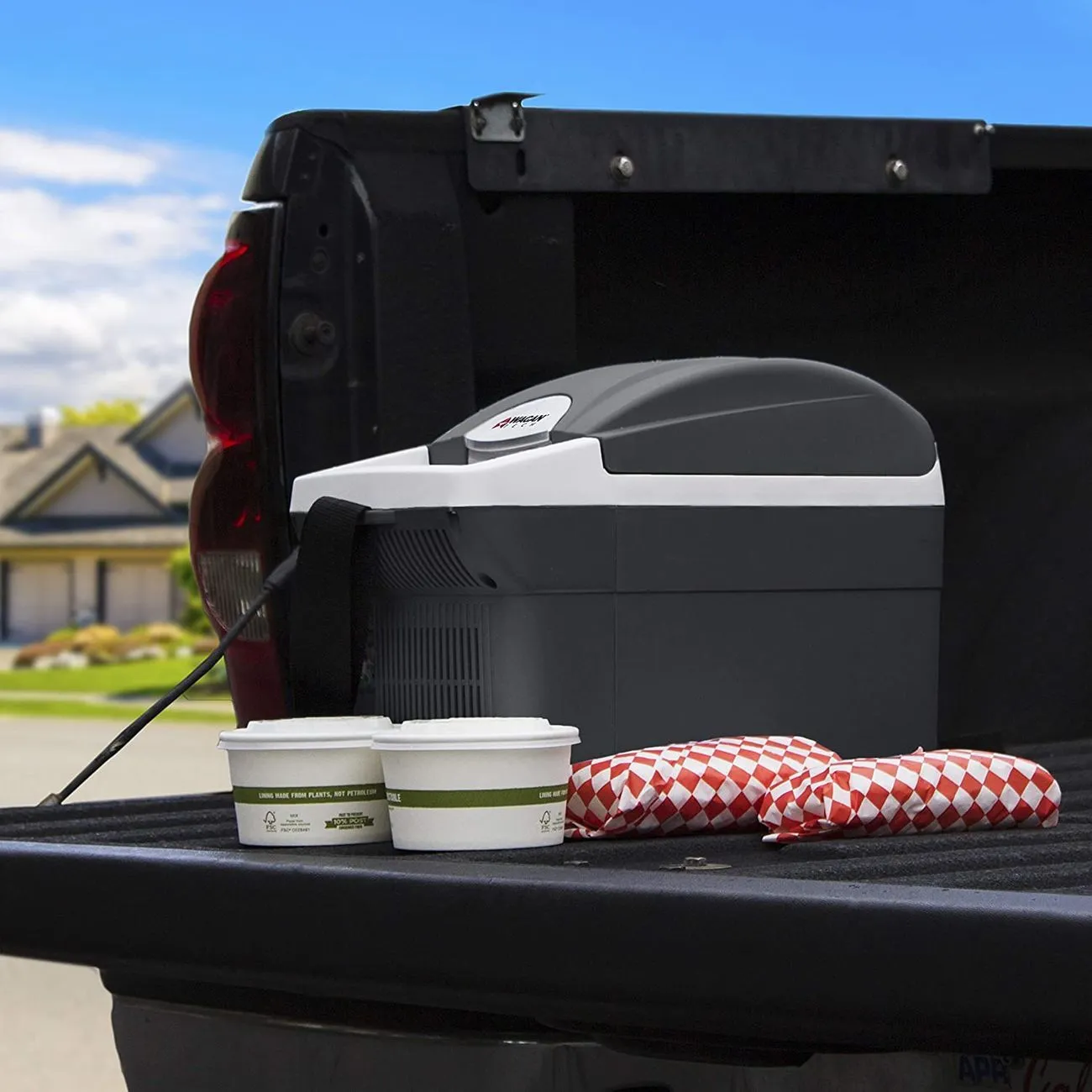 12V Thermo-electric 6L Cooler